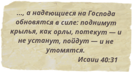 ..., а надеющиеся на Господа обновятся в силе: поднимут крылья, как орлы, потекут — и не устанут, пойдут — и не утомятся. 
                                    Исаии 40:31